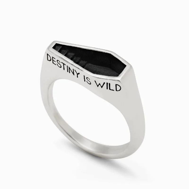 Personalized Promise Ring-Destiny Is Wild Signet